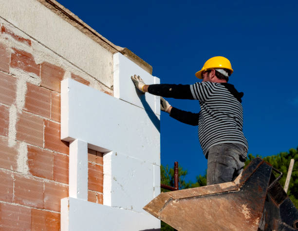Best Insulation Replacement Services  in West Springfield, VA