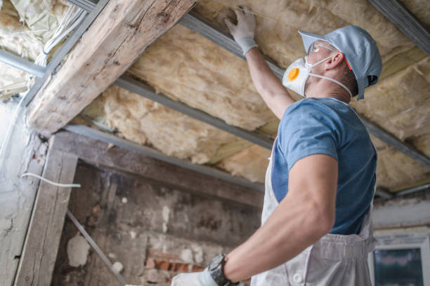 Best Insulation Contractors for Homes  in West Springfield, VA