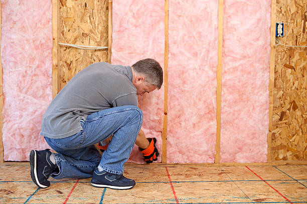 Best Garage Insulation Installation  in West Springfield, VA